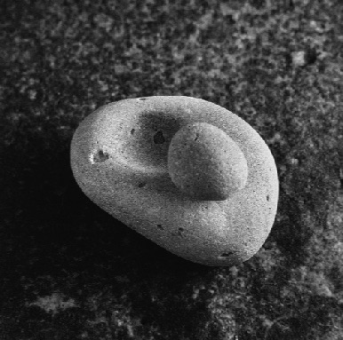 2 STONES