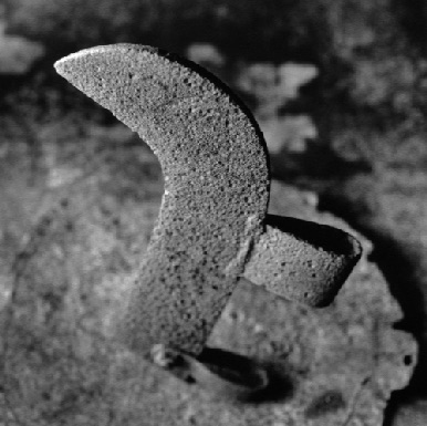 AXE